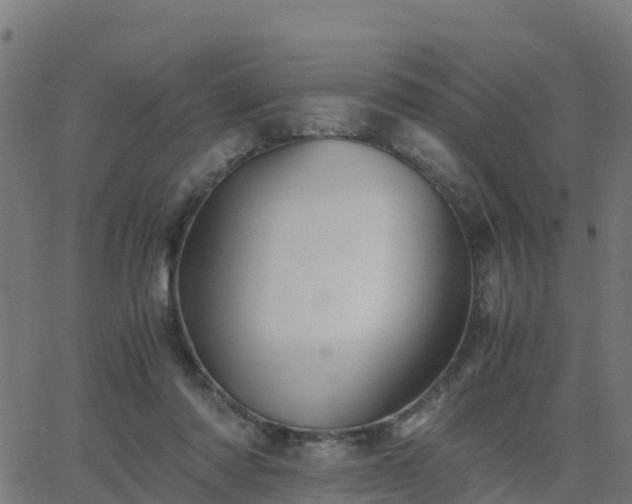 X0000062830310200601201619