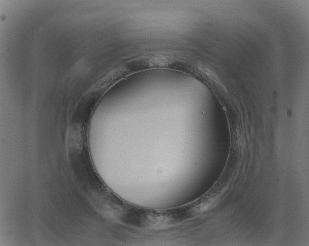 X0000062830311200601201619