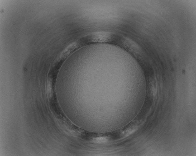 X0000062830312200601201619