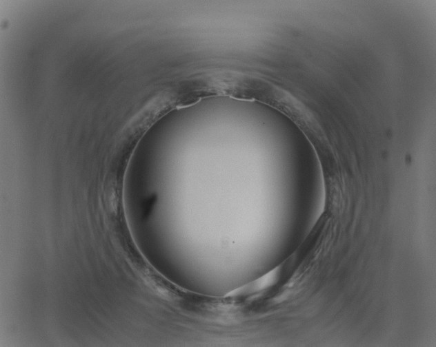 X0000062830313200601201619