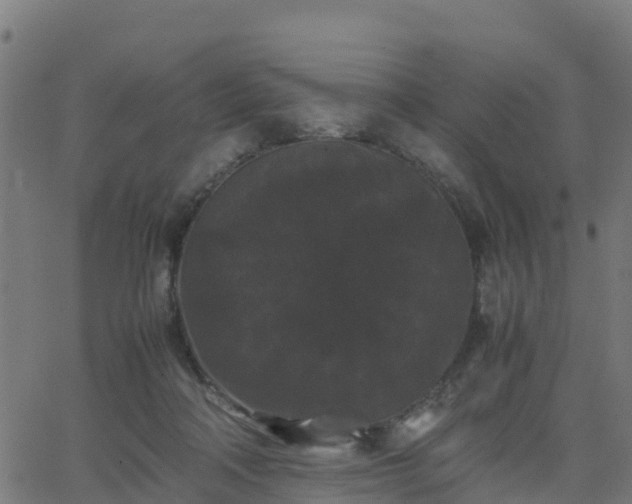 X0000062830314200601201619