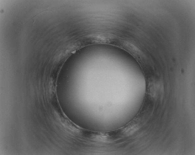 X0000062830318200601201619