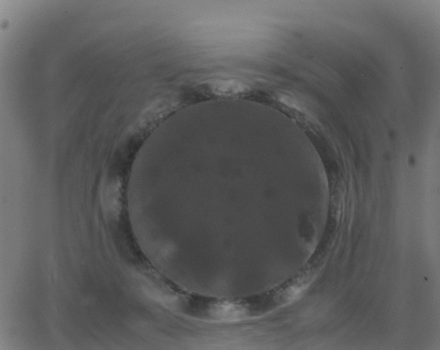 X0000062830319200601201619