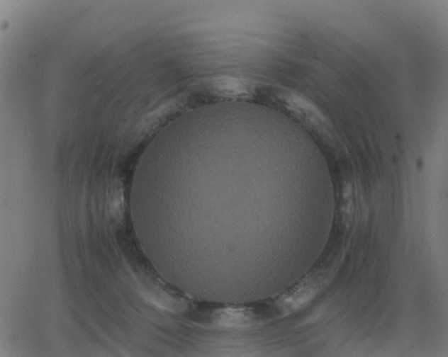 X0000062830320200601201619