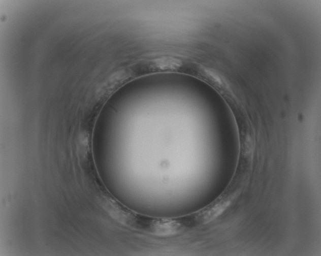 X0000062830321200601201619