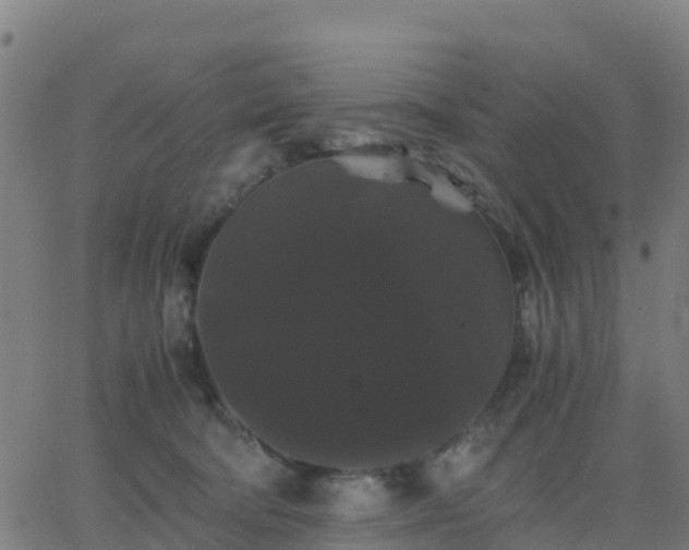 X0000062830322200601201619