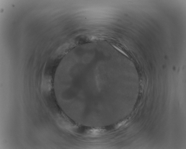 X0000062830323200601201619