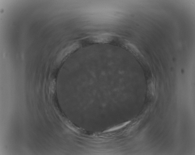 X0000062830325200601201619