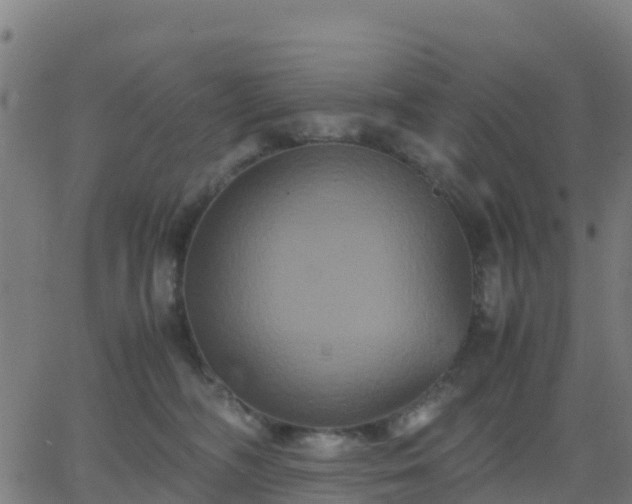 X0000062830326200601201619