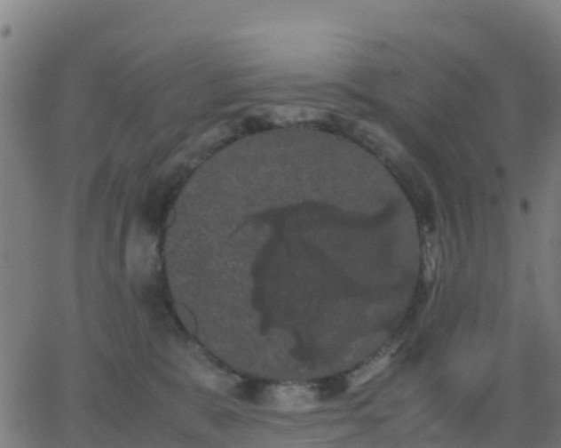 X0000062830327200601201619