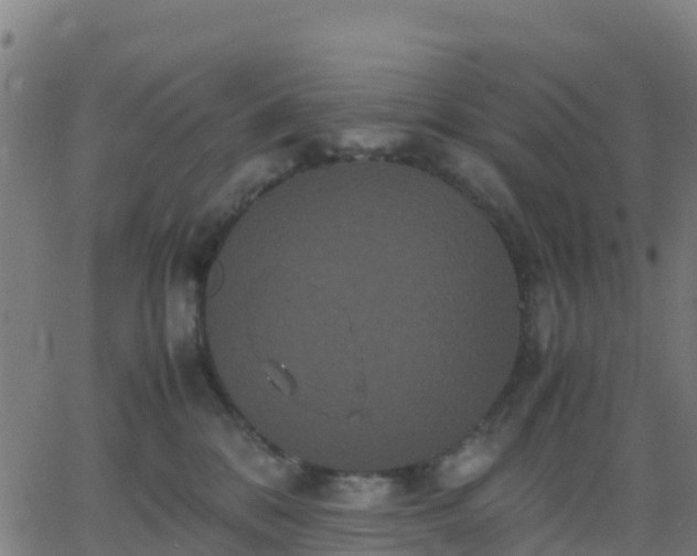 X0000062830328200601201619