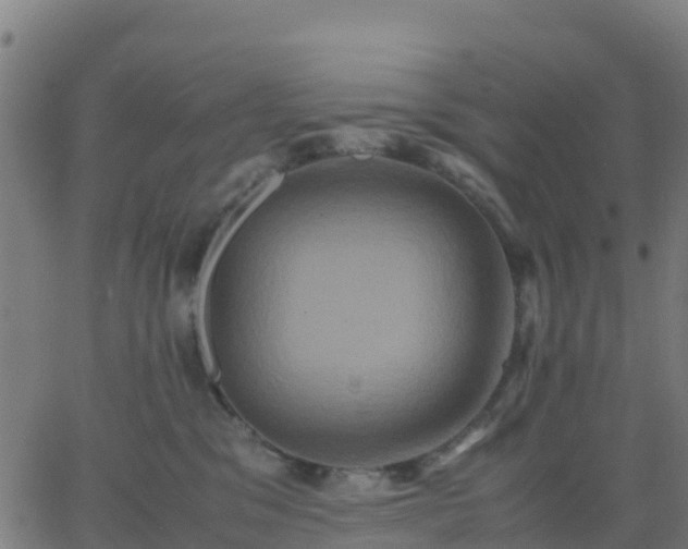 X0000062830329200601201619