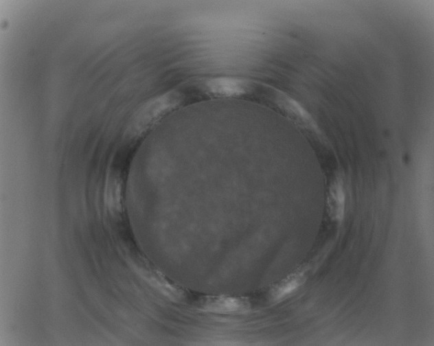 X0000062830330200601201619