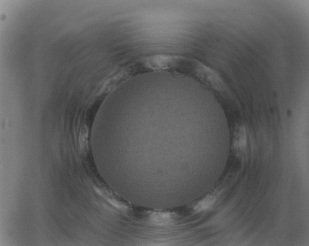 X0000062830332200601201619