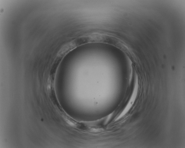 X0000062830333200601201619