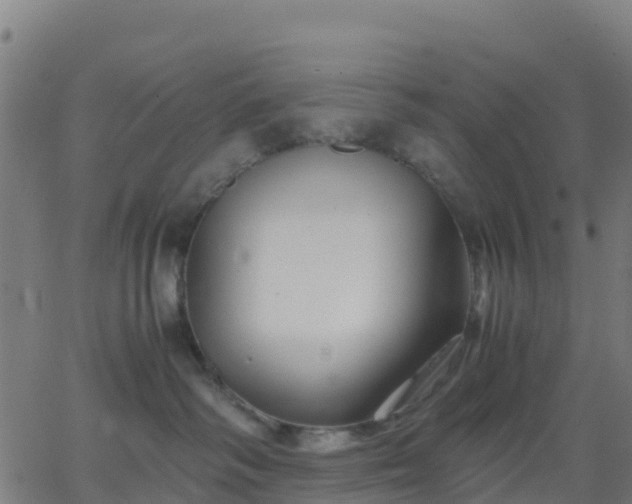 X0000062830334200601201619