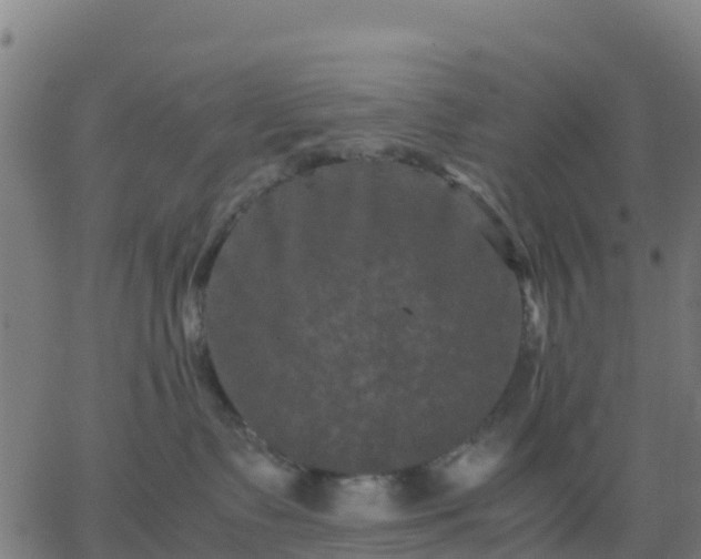 X0000062830335200601201619