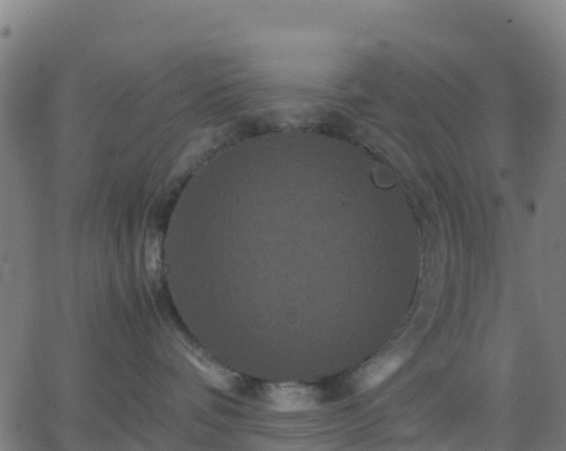 X0000062830336200601201619