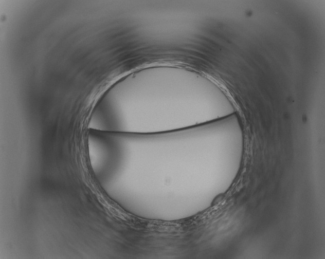 X0000062830337200601201618