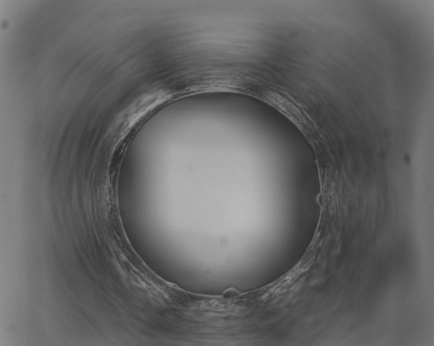 X0000062830338200601201618