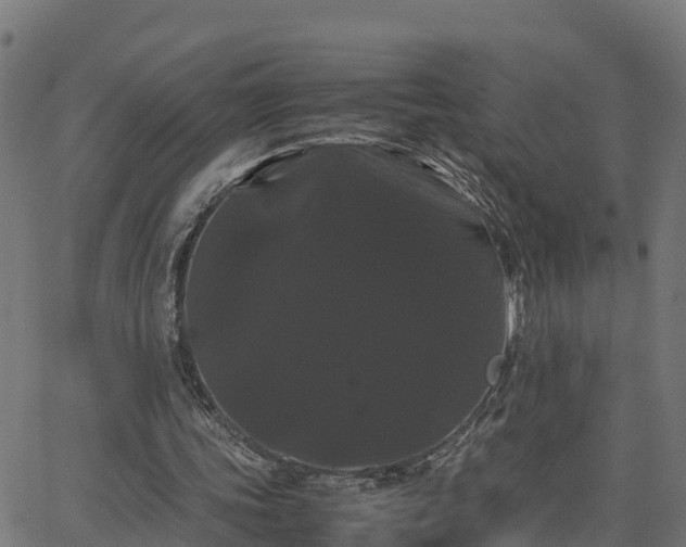 X0000062830339200601201618