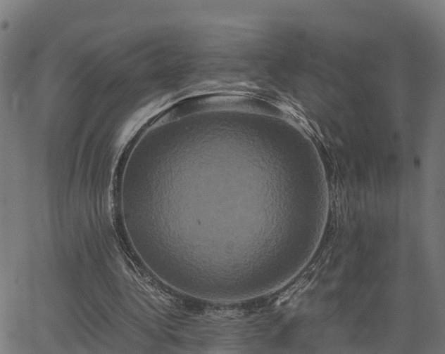 X0000062830340200601201618