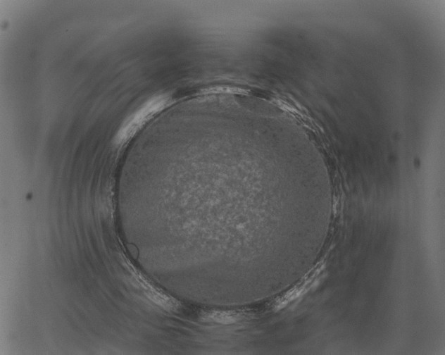 X0000062830341200601201618