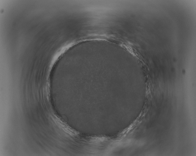 X0000062830342200601201618