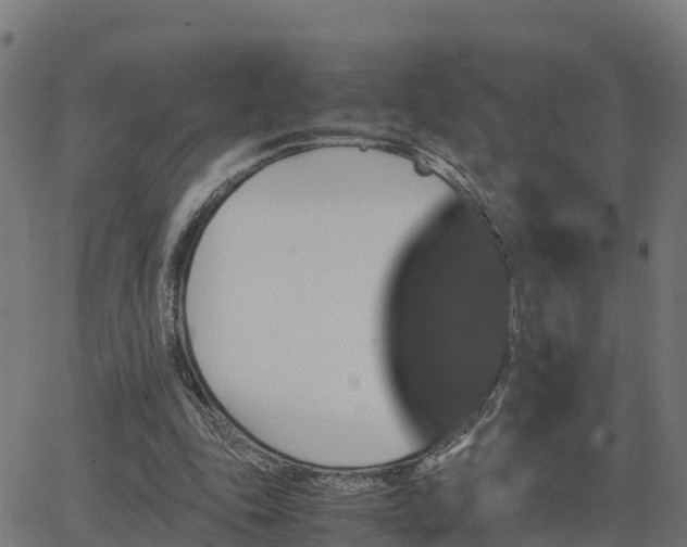 X0000062830343200601201618