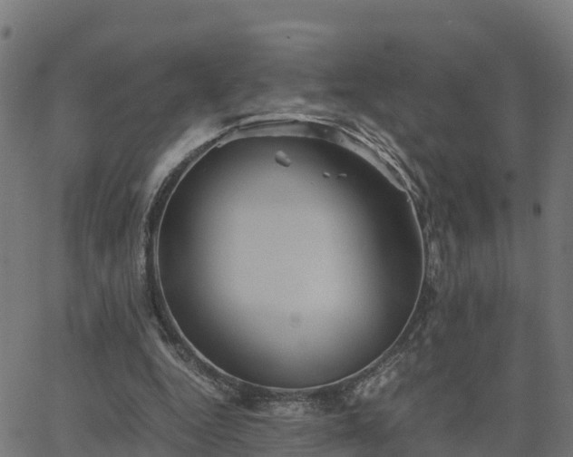 X0000062830344200601201618