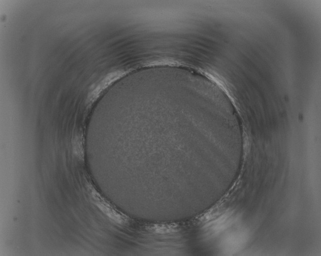 X0000062830345200601201618