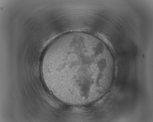 X0000062830346200601201618