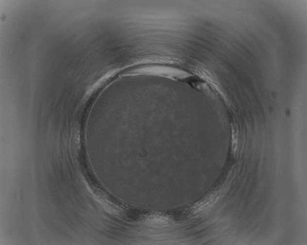 X0000062830348200601201618