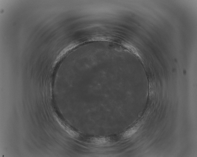 X0000062830349200601201618