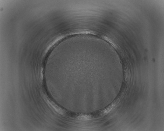 X0000062830350200601201618