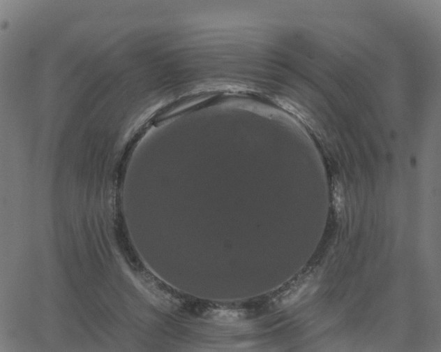 X0000062830352200601201618