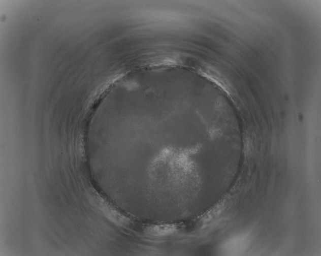 X0000062830353200601201618