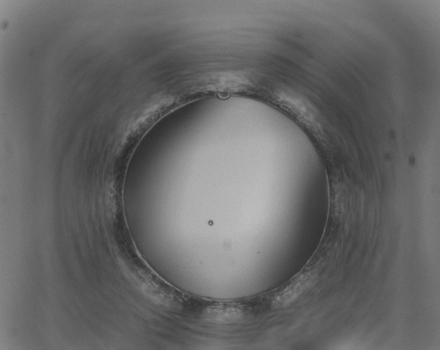 X0000062830354200601201618