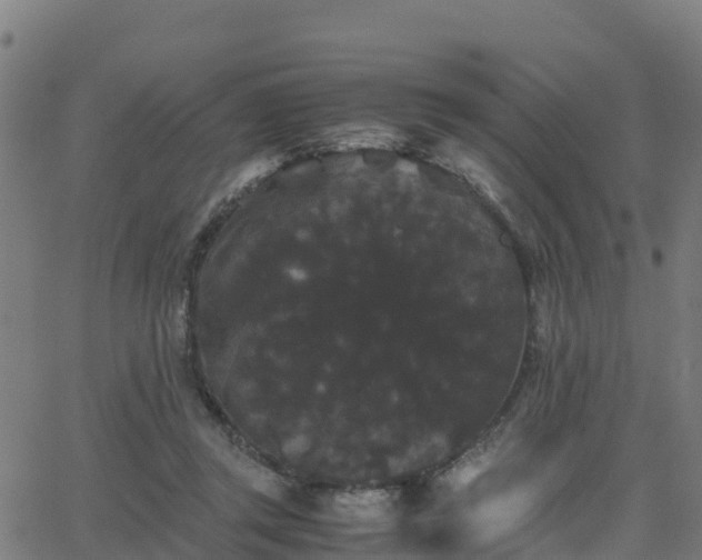 X0000062830357200601201618