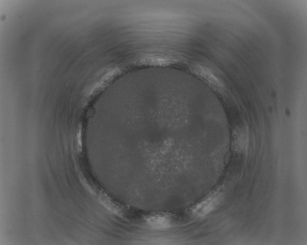 X0000062830358200601201618