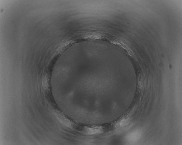 X0000062830359200601201618