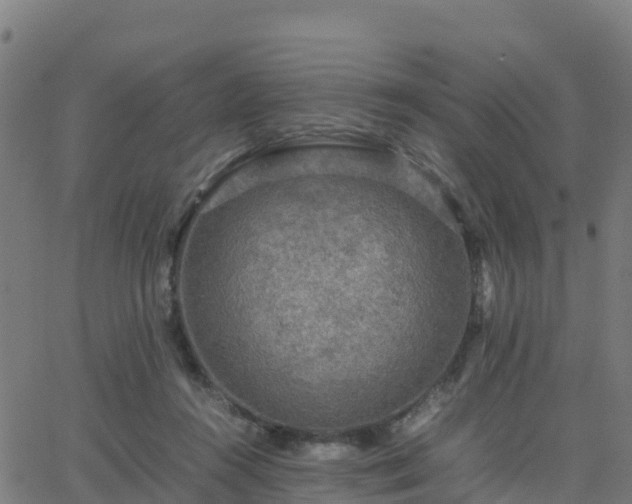 X0000062830360200601201618