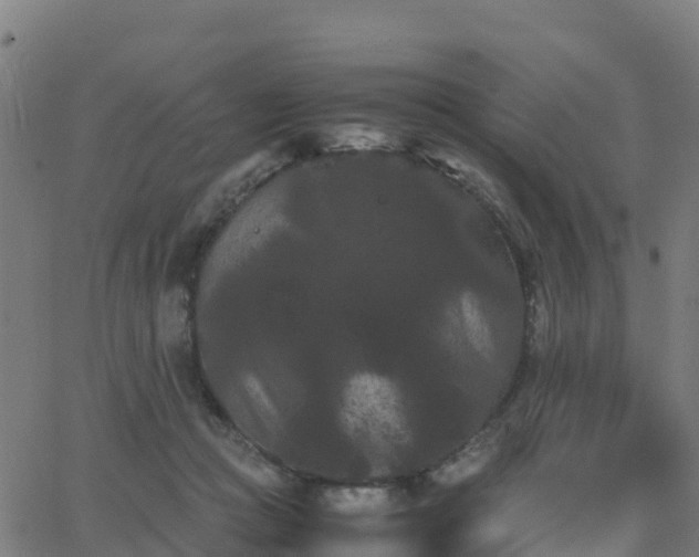 X0000062830361200601201618