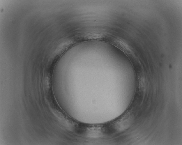 X0000062830362200601201618