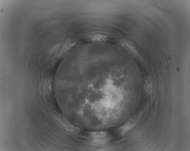 X0000062830363200601201618