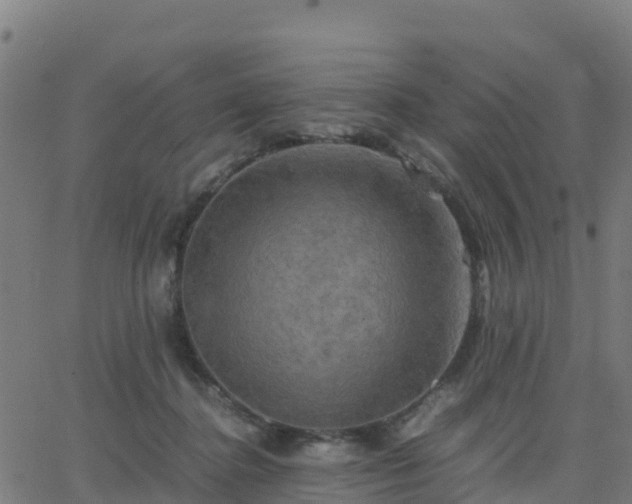 X0000062830364200601201618