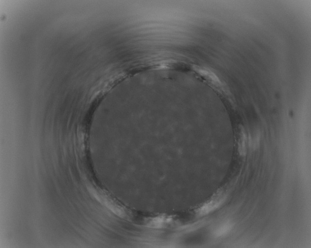 X0000062830366200601201619