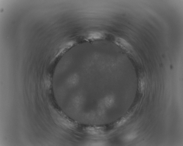 X0000062830367200601201619