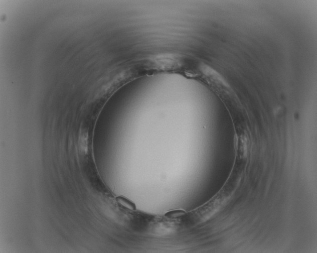 X0000062830368200601201619