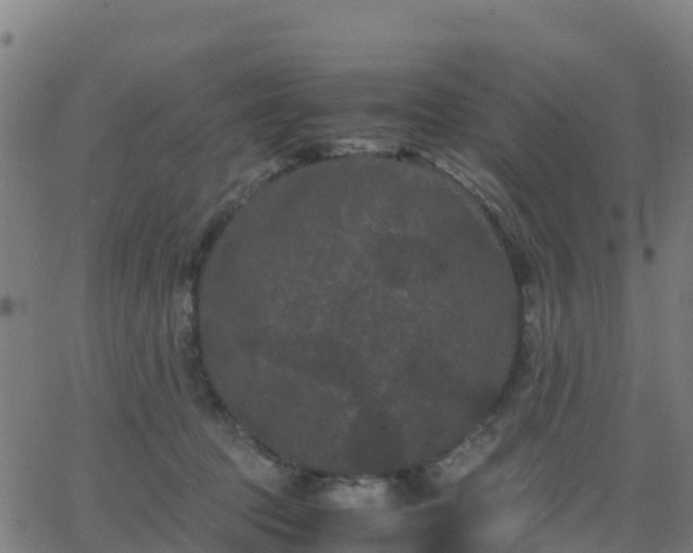 X0000062830369200601201619